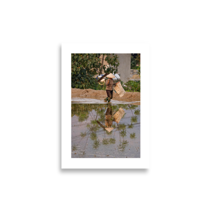 21x30 Frameless Palm Reflection