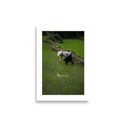 21x30 Frameless Rice Reflection