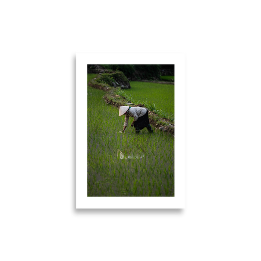 21x30 Frameless Rice Reflection