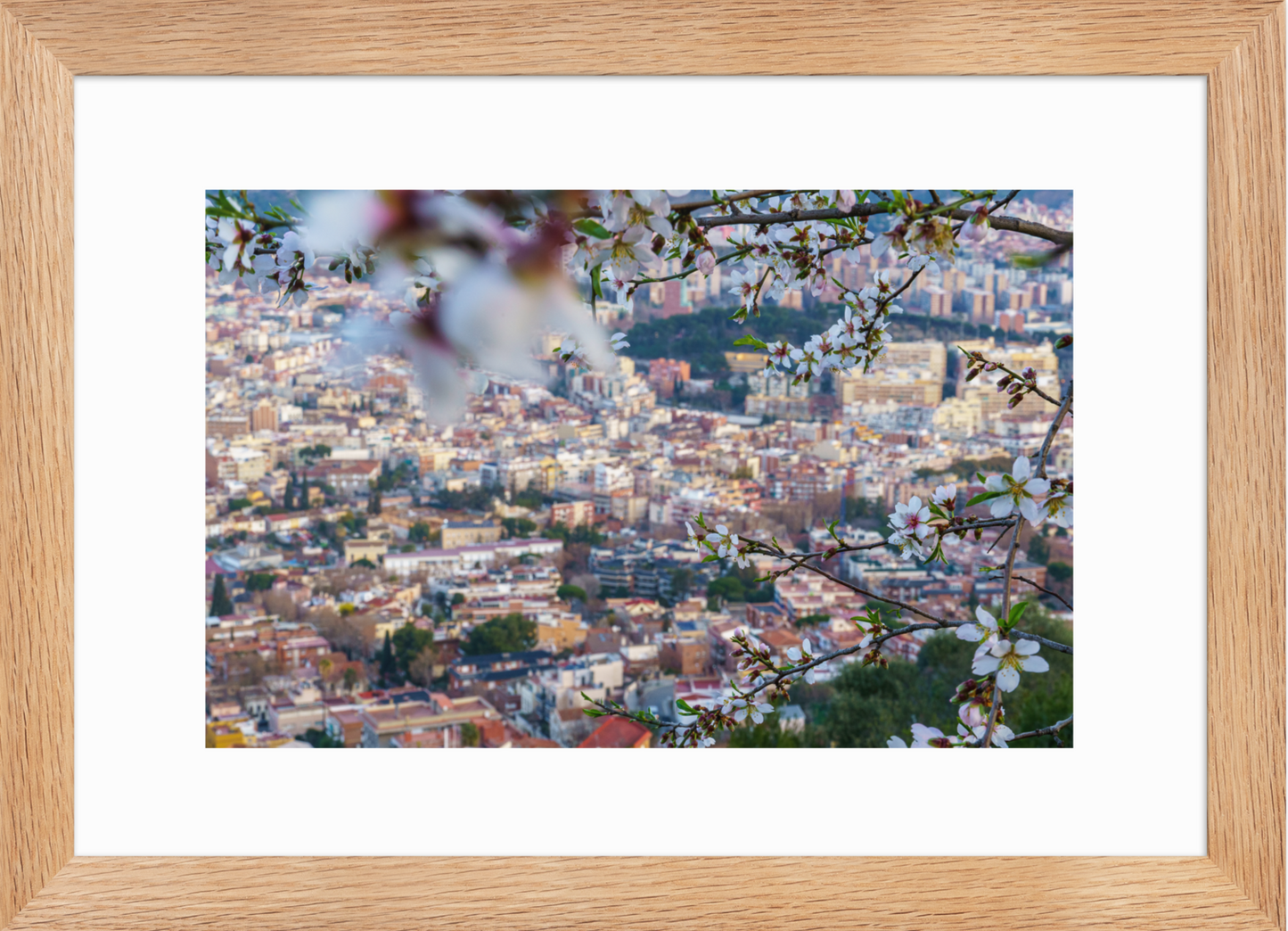 21x30 Raw Almond Flowers