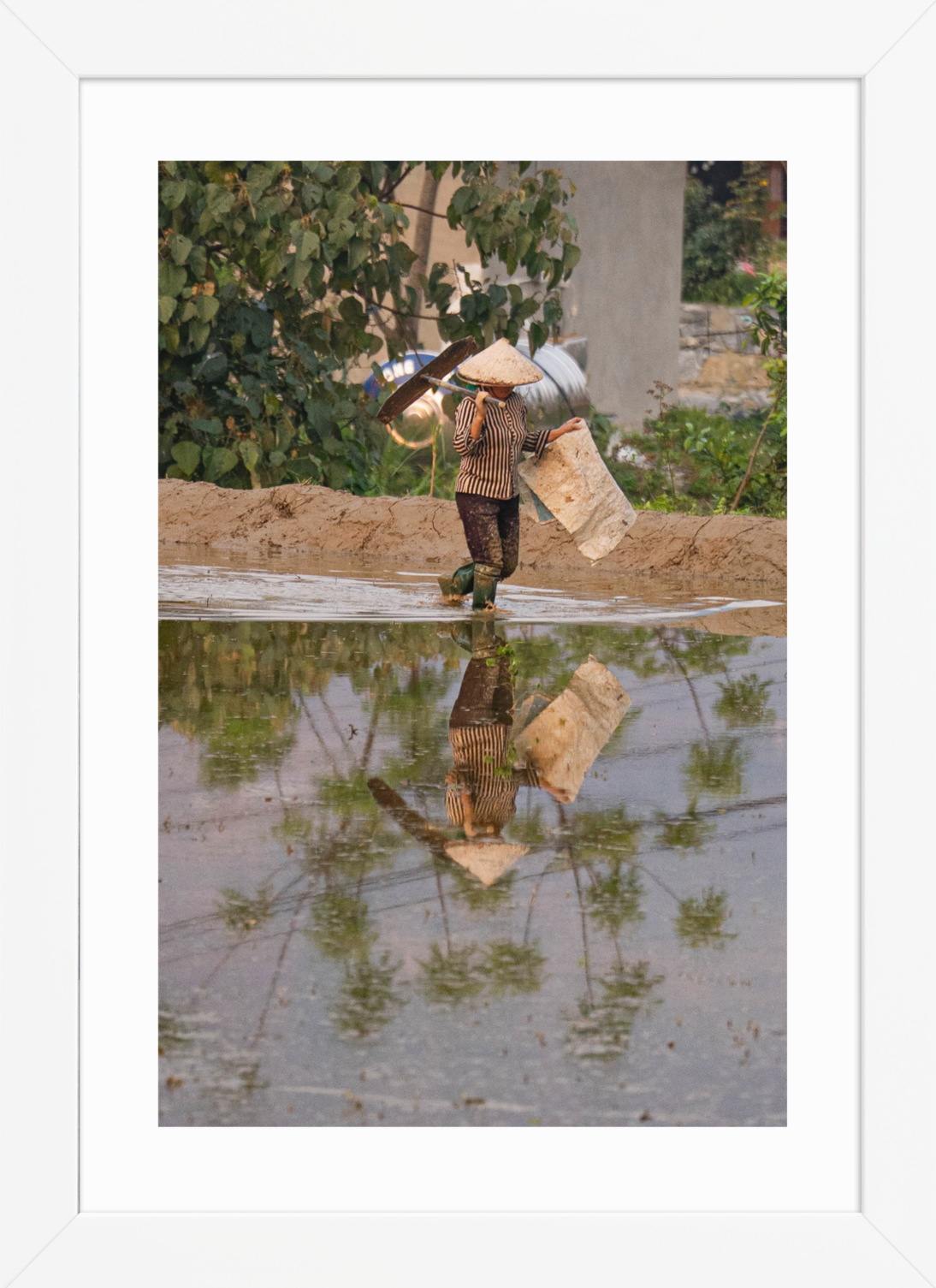 21x30 White Palm Reflection