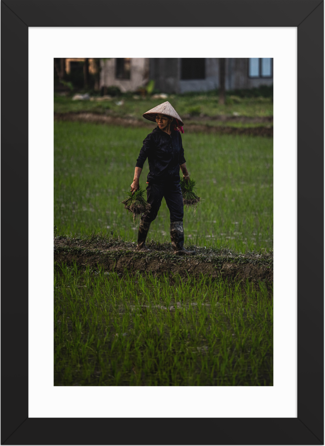 21x30 black double happiness