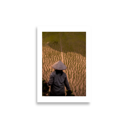 21x30_frameless_Rice_Farmer