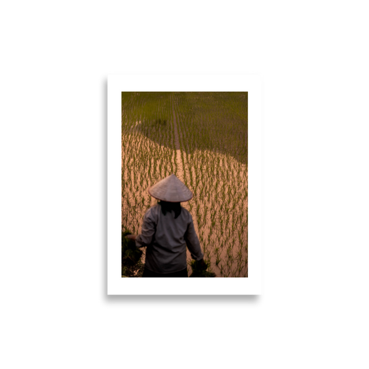 21x30_frameless_Rice_Farmer