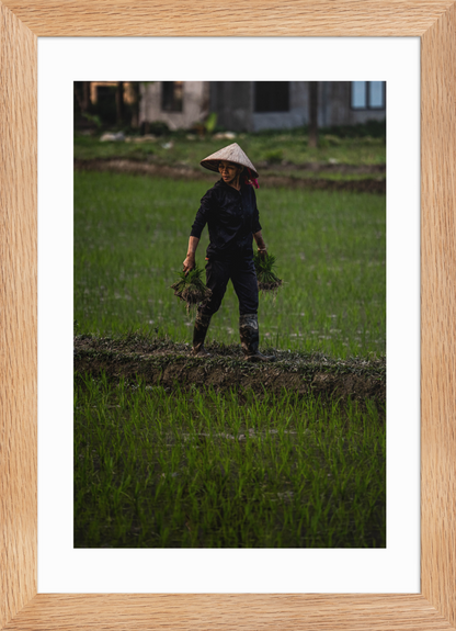 21x30 raw double happiness