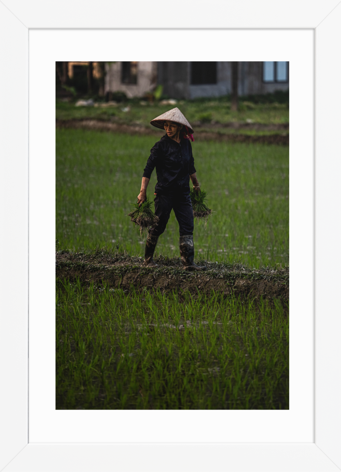 21x30 white double happiness