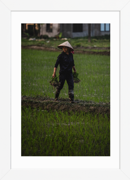 21x30 white double happiness