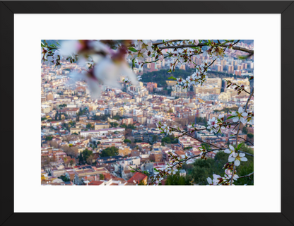 30x40 Black_Almond_Flowers
