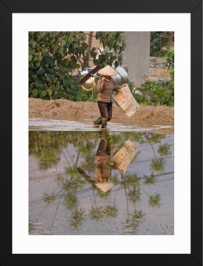 30x40 Black Palm Reflection