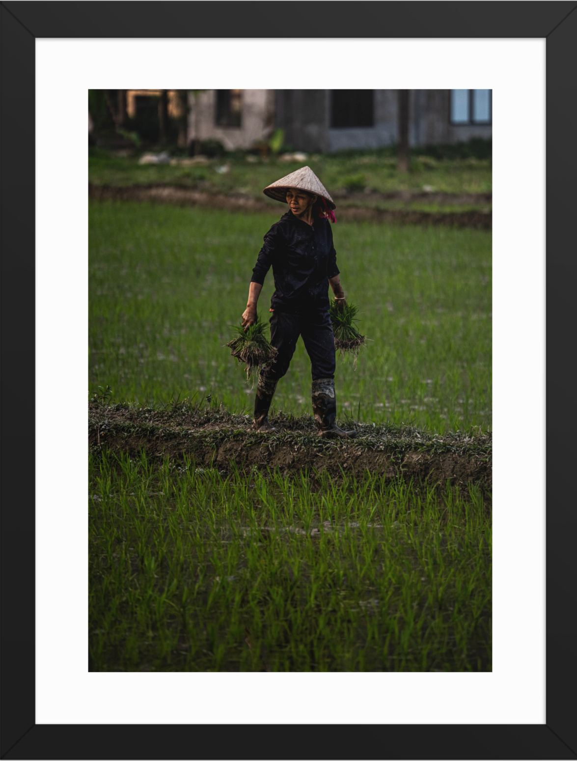 30x40 Black double happiness