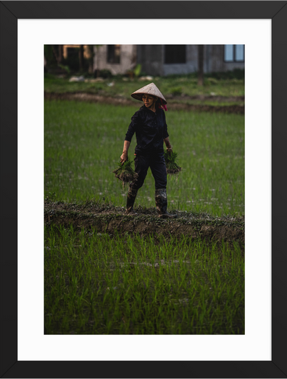 30x40 Black double happiness