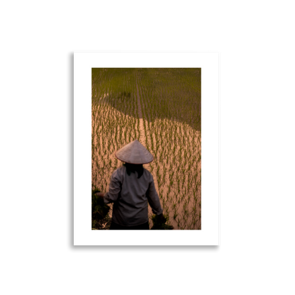 30x40_Frameless_Rice_Farmer