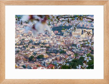 30x40 Raw_Almond_Flowers