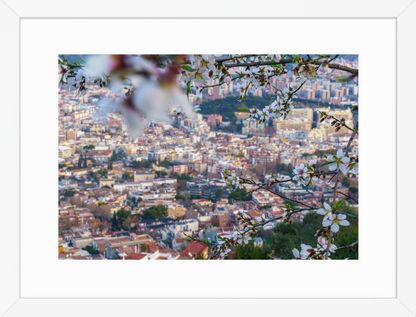 30x40 White_Almond_Flowers