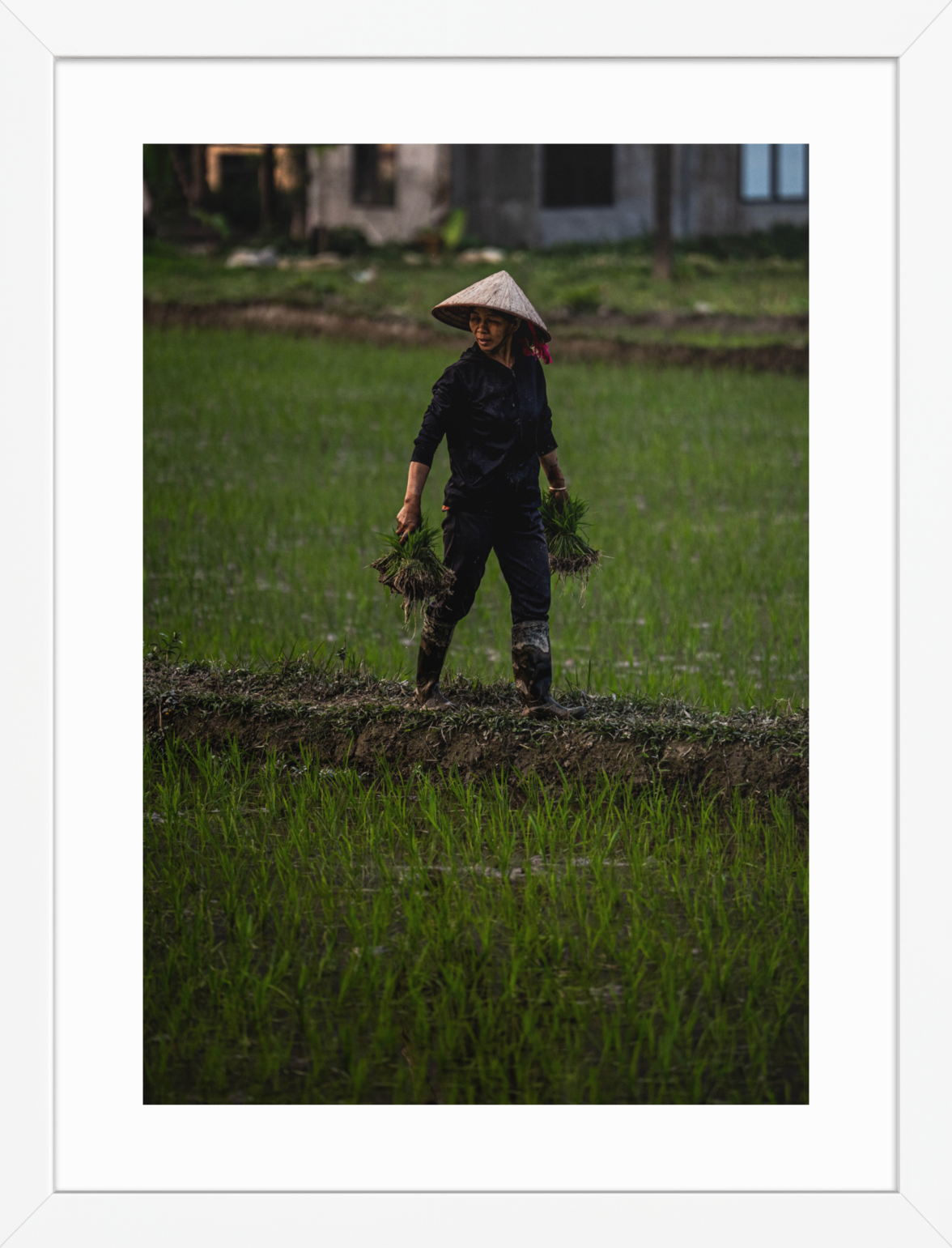 30x40 White double happiness