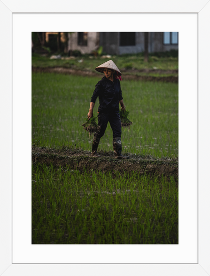 30x40 White double happiness