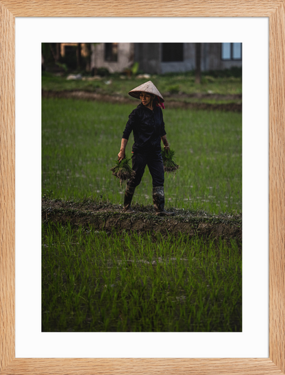 30x40 raw double happiness