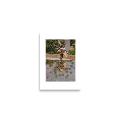 420x59.4 Frameless Palm Reflection