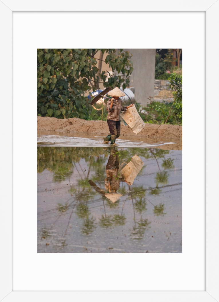 420x59.4 White Palm Reflection