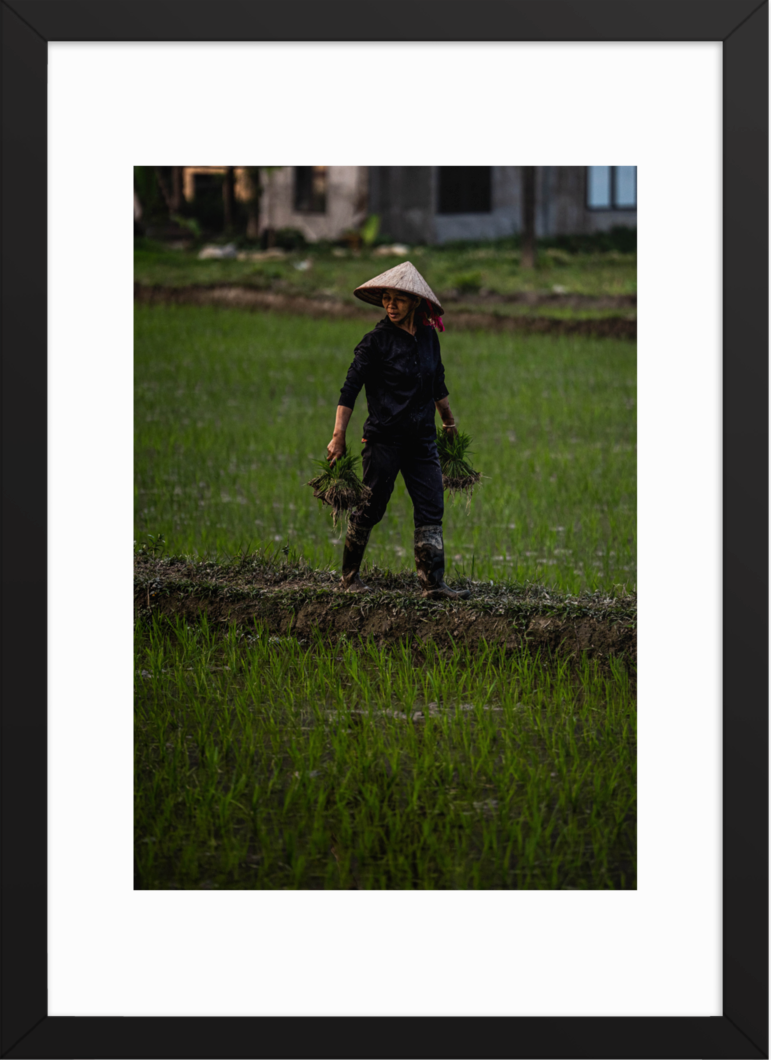 42x59.4 Black double happiness