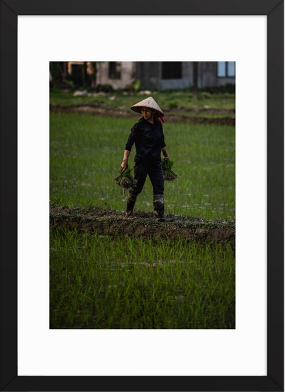 42x59.4 Black double happiness