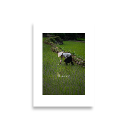 42x59.4 Frameless_Rice_Reflection