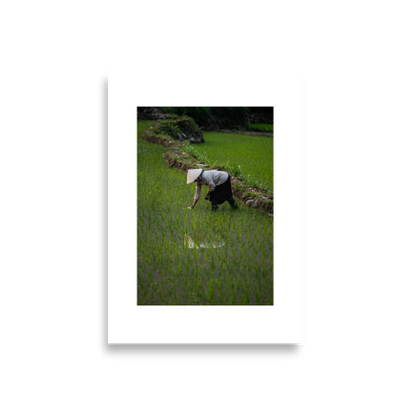 42x59.4 Frameless_Rice_Reflection