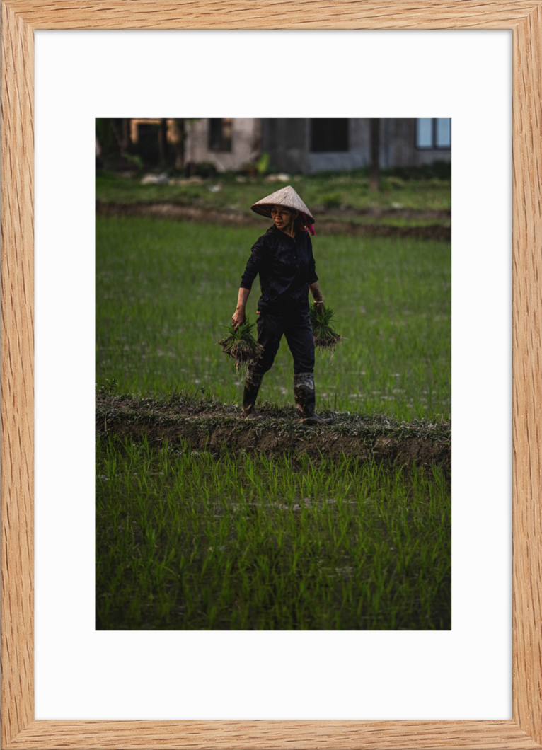 42x59.4 Raw double happiness