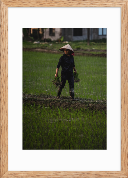 42x59.4 Raw double happiness