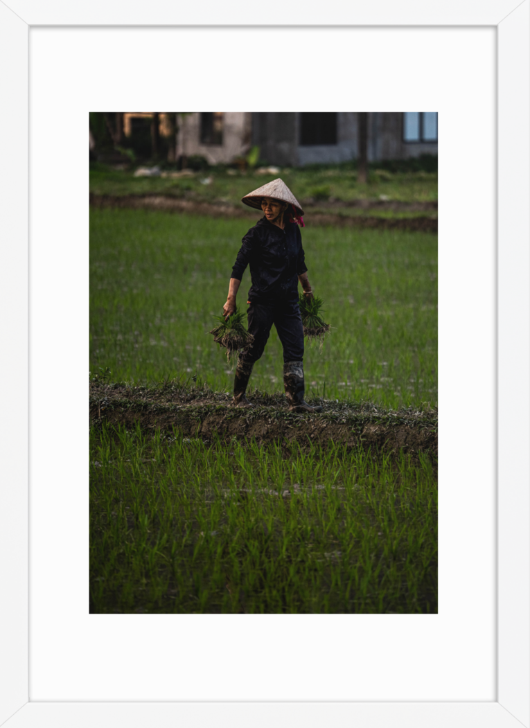 42x59.4 White double happiness