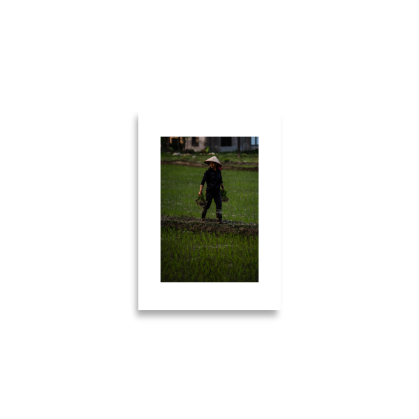 42x59.4 frameless double happiness