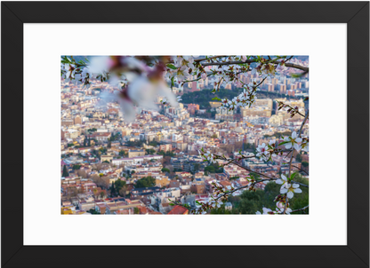 61x91_Black Almond_Flower