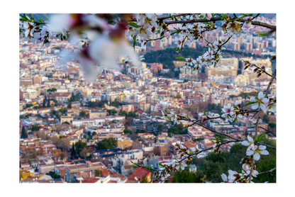 61x91 Frameless_Almond_Flowers