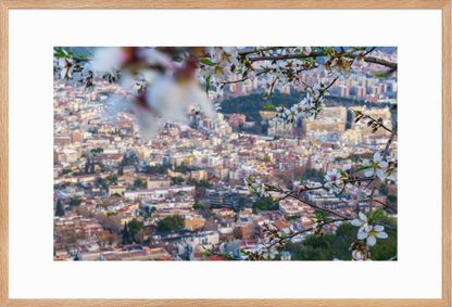 61x91_Raw_Almond_Flowers