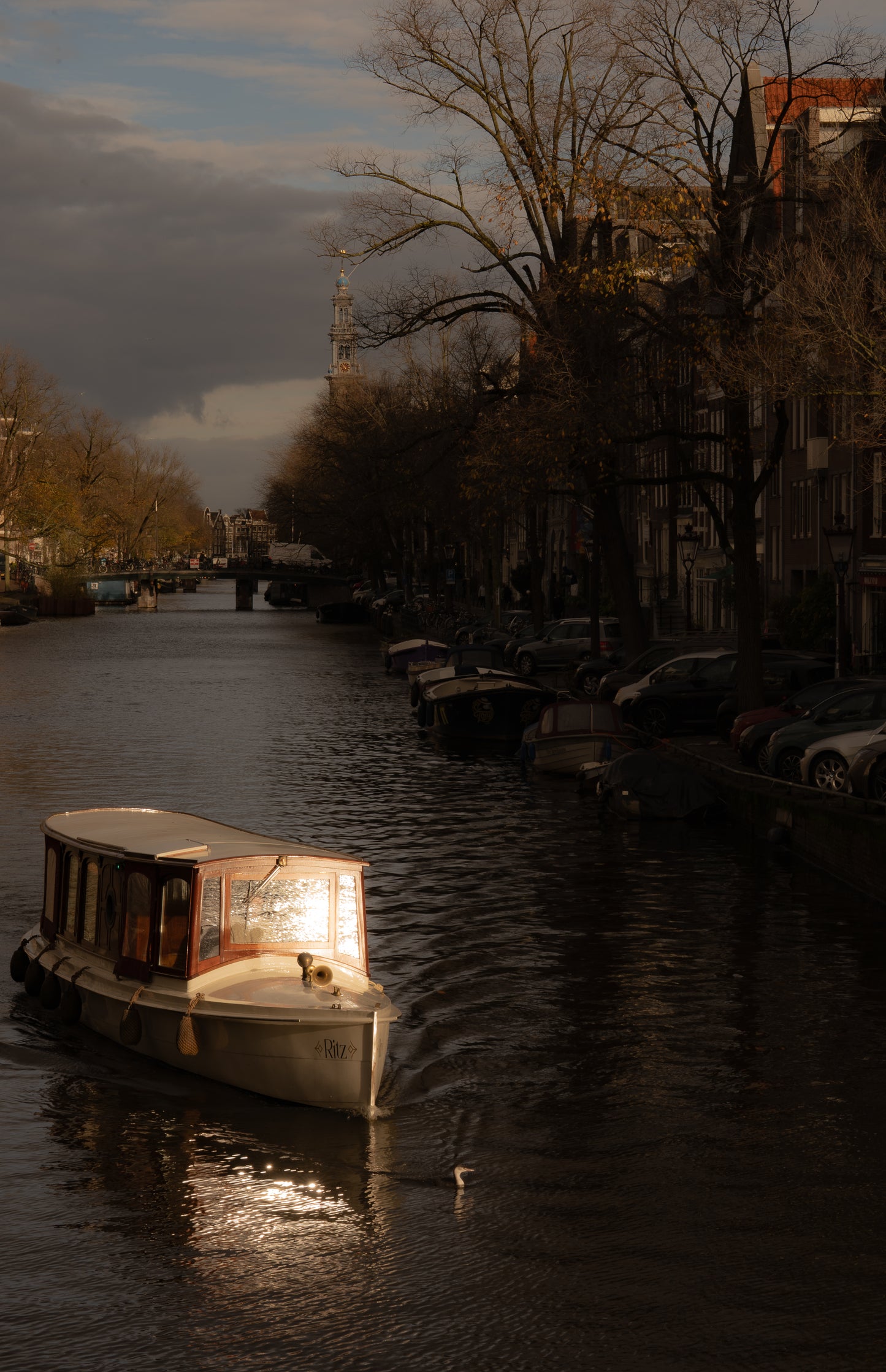 Bird & Boat