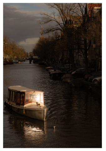 Bird & Boat 42x59.4 FL
