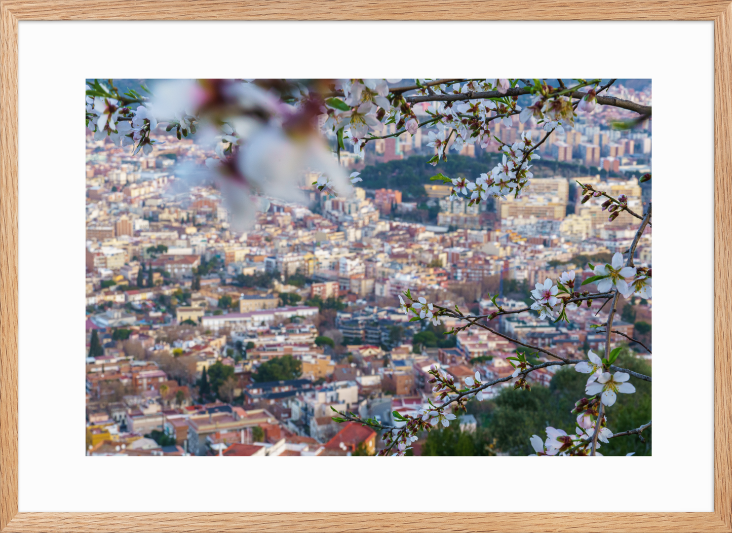 50x70 Raw_Almond_Flowers