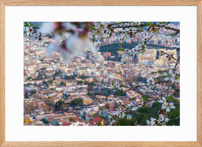 50x70 Raw_Almond_Flowers